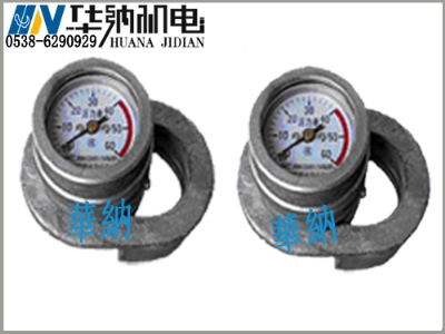DZ-CL-1单体星空注册测力计